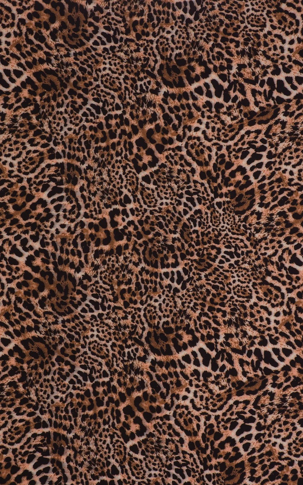 T5 - Womens Bandeau Bikini Top - Prints - Image 9