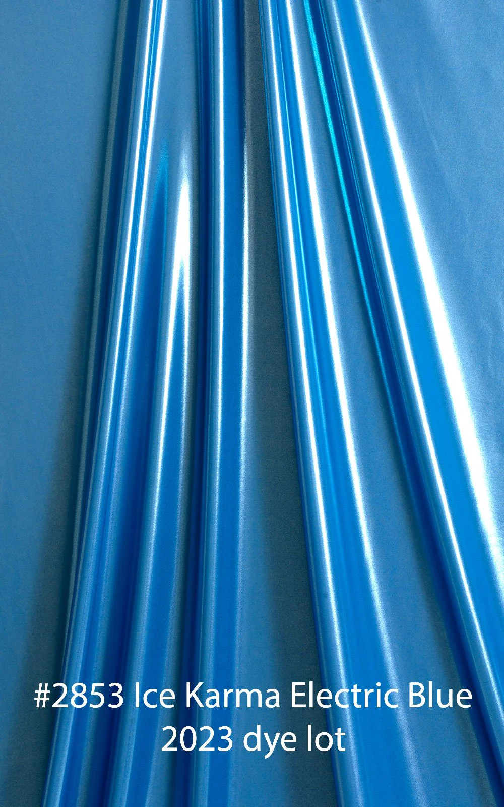 B81CN101S - Womens Micro G String Bottom with Silver Ornaments - Metallics - Image 19