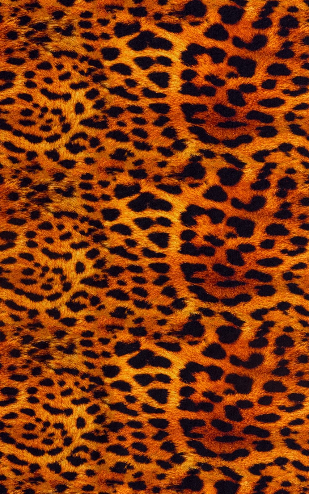 B7 - Womens Skinny Side 1/2 Bottom - Prints - Image 35